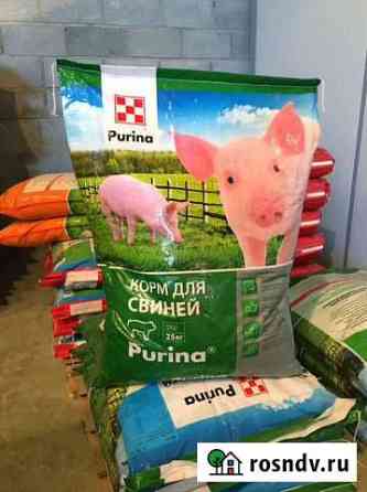 Комбикорм и Концентраты для Свиней Purina Тольятти