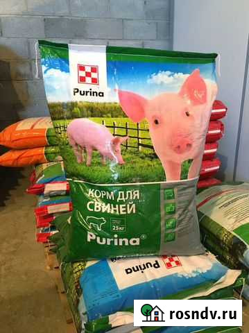 Комбикорм и Концентраты для Свиней Purina Тольятти - изображение 1