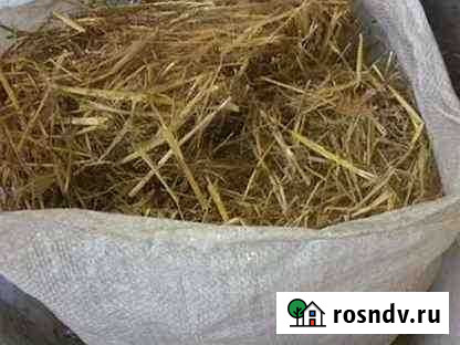 Солома в мешках Сорочинск - изображение 1