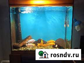 Аквариум Парковый - изображение 1