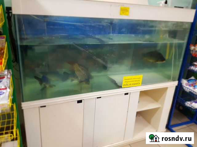 Аквариум Кумертау - изображение 1