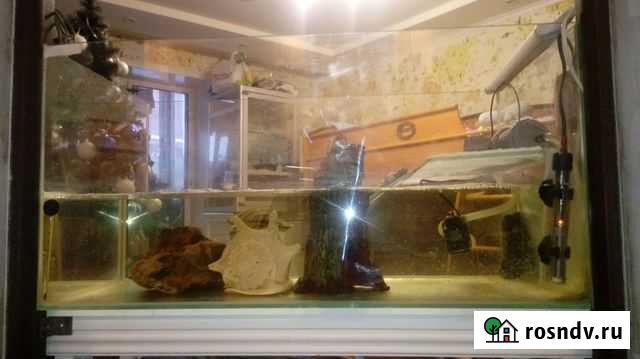 Аквариум, террариум, черепашатник Владимир - изображение 1