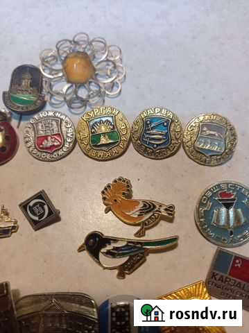 Значки СССР города, птички Петрозаводск - изображение 1