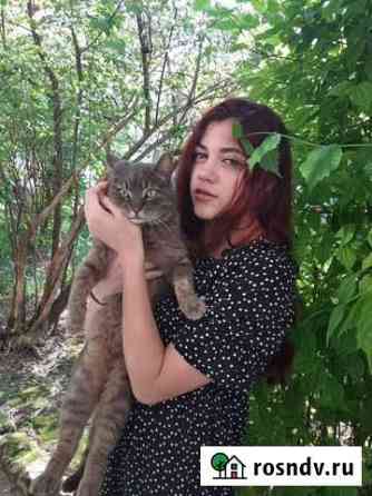 Рисунок в школу Рязань