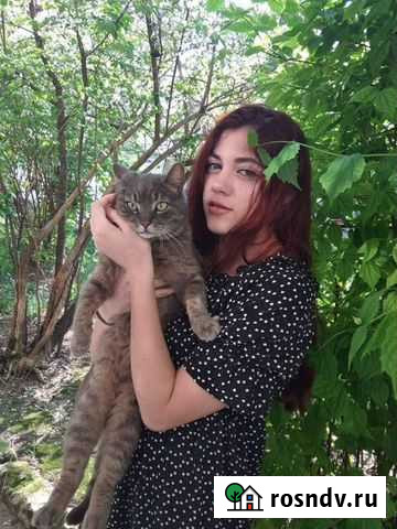 Рисунок в школу Рязань - изображение 1