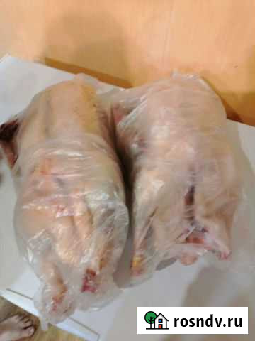 Мясо гуся Магнитогорск - изображение 1