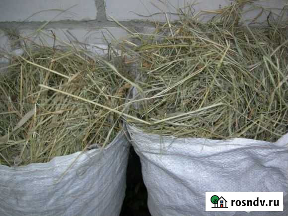 Сено в мешках Ульяновка - изображение 1