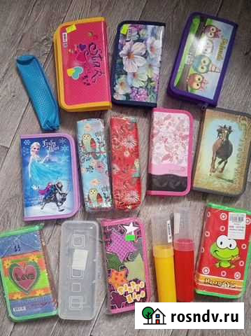 Пеналы,дневник Саранск - изображение 1