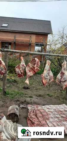 Забой скота Балашиха - изображение 1