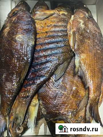 Лещ крупный от 1.5 кг только с печки, ещё горячий Псков - изображение 1