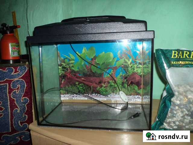 Аквариум Отрадный - изображение 1