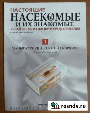 Журналы Насекомые и их знакомые (DeAgostini) Новочеркасск - изображение 1