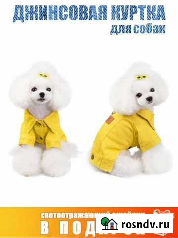 Куртка для собак Нижний Тагил - изображение 1