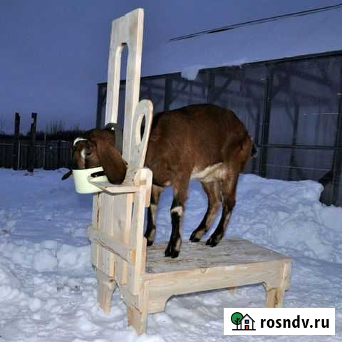 Доильный станок для коз, устойчивый и красивый Тверь - изображение 1