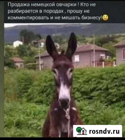 Механическая штукатурка стен Каспийск - изображение 1