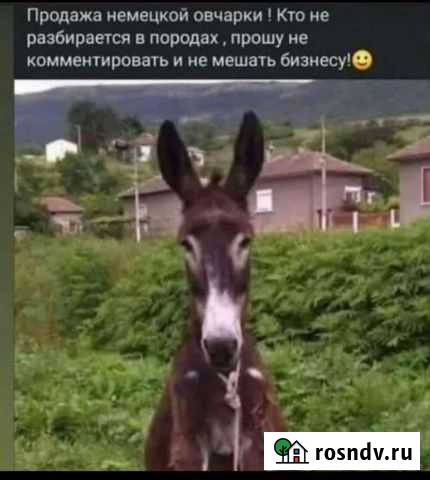 Механическая штукатурка стен Каспийск - изображение 1