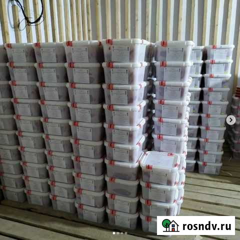 Икра красная - Оплата при получении Опт / Меркурий Петропавловск-Камчатский - изображение 1