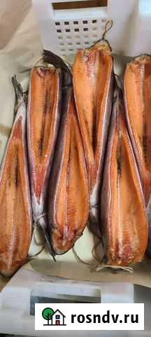 Рыба Самара - изображение 1