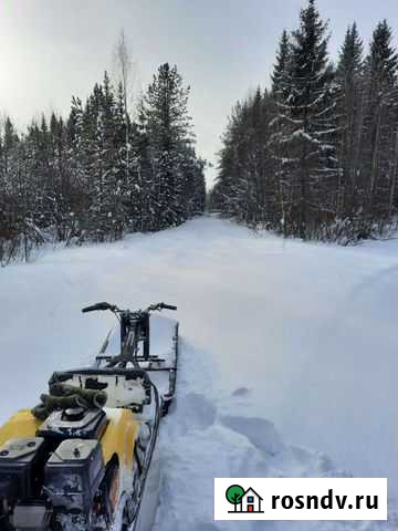 Мотособака рыбак Мураши - изображение 1