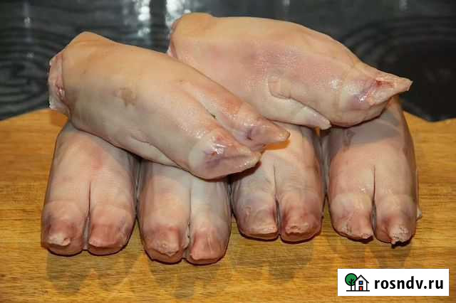 Ноги свиные Сызрань - изображение 1