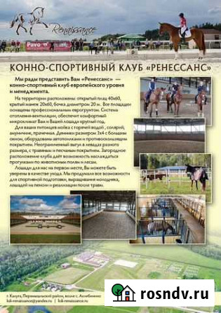 Занятия верховой ездой Калуга - изображение 1