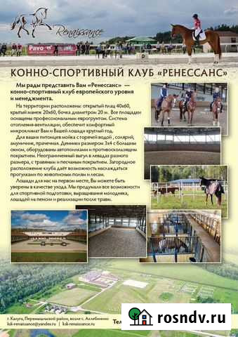 Занятия верховой ездой Калуга - изображение 1