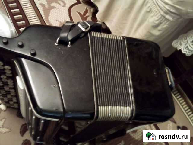 Баян россия Ульяновск - изображение 1