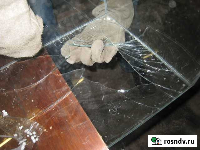 Аквариум Брянск - изображение 1