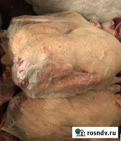 Мясо гуся Чебоксары - изображение 1