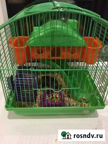 Клетка с хомяком Омск - изображение 1