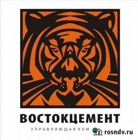 Цемент Зея