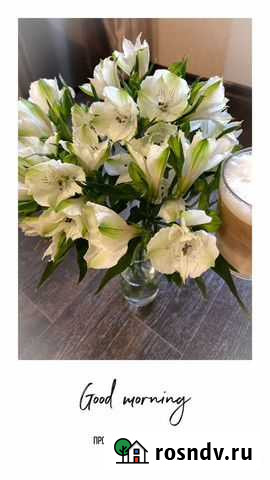 Смм специалист Рязань - изображение 1