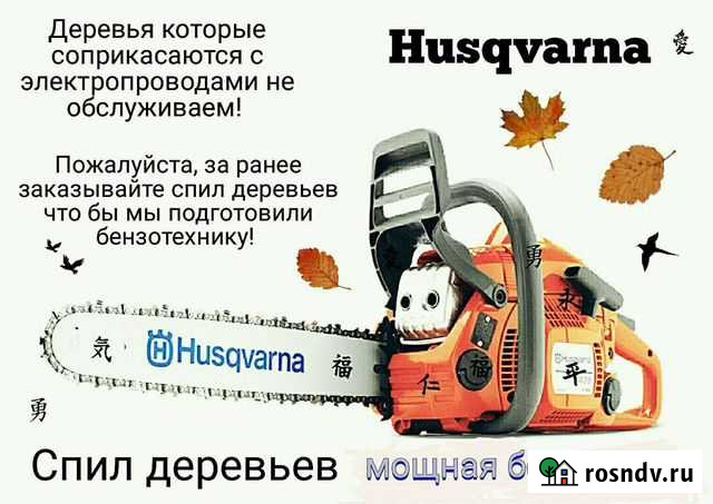 Бензопила спил деревьев примус + прокат Анапа - изображение 1