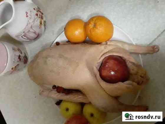 Мясо гуся Чехов