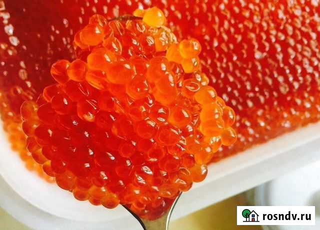 Икра красная Орехово-Зуево - изображение 1