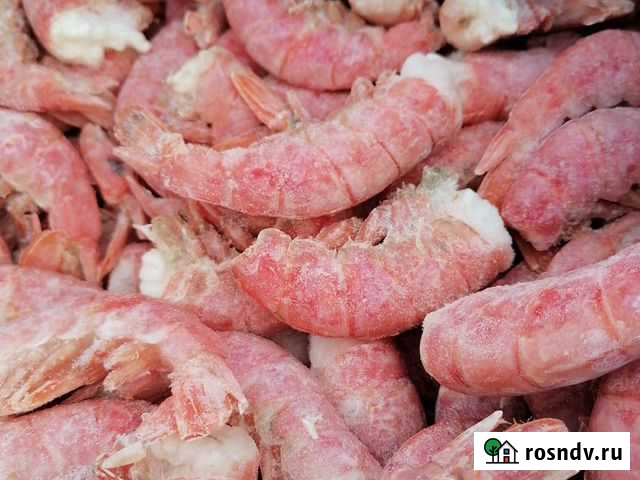 Креветка Чита - изображение 1