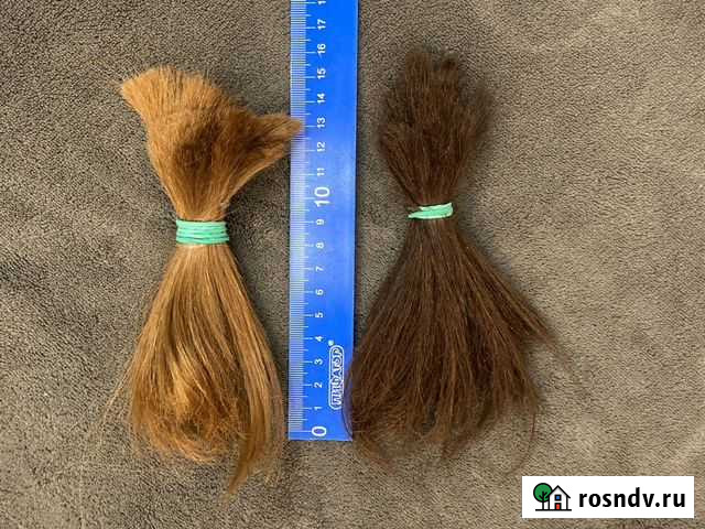 Волосы натуральные срез Ростов-на-Дону - изображение 1