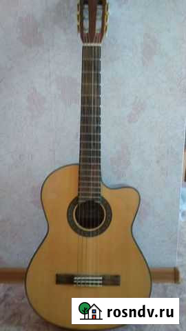 Гитара Шумиха - изображение 1