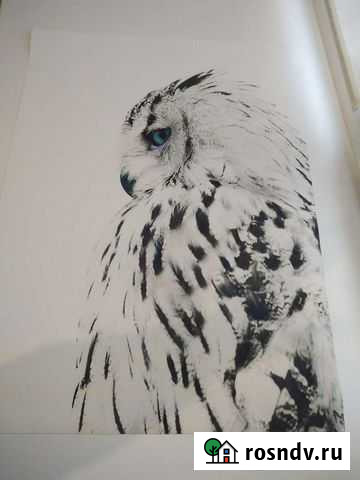 Картина Йошкар-Ола - изображение 1