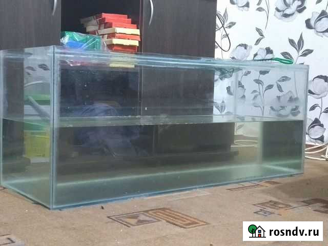 Аквариум Братск - изображение 1