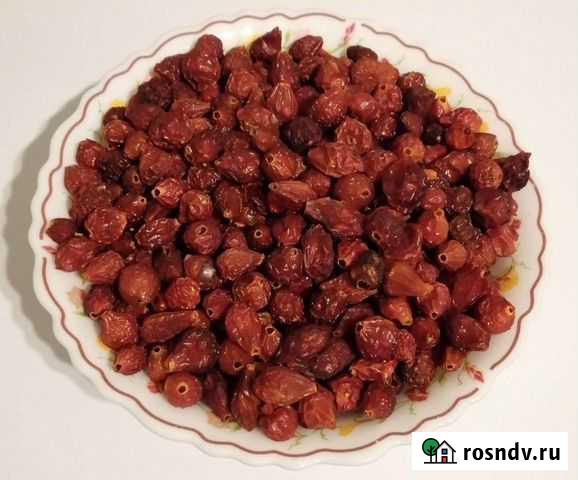 Шиповник сушеный Сыктывкар - изображение 1