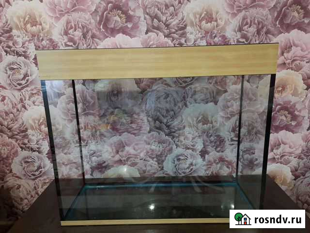 Аквариум Минусинск - изображение 1