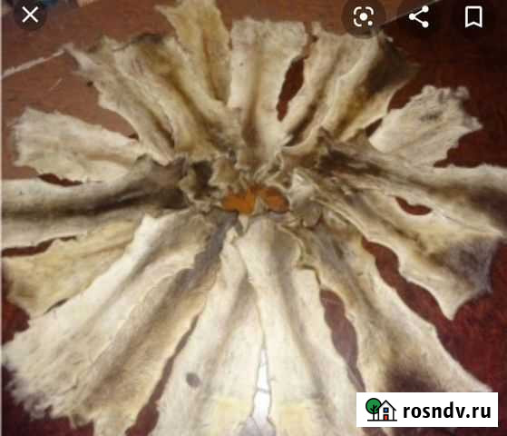 Камус Лысьва - изображение 1