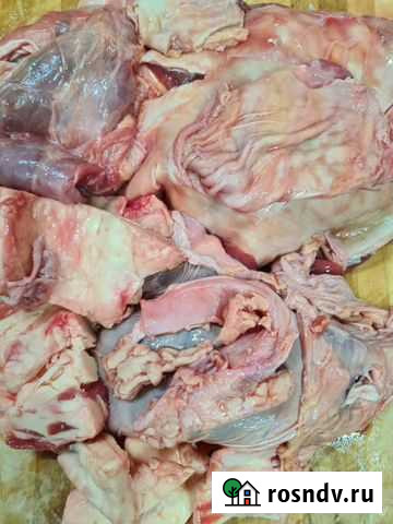 Говяжьи обрези для собак Улан-Удэ - изображение 1