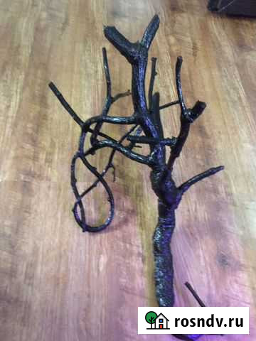 Коряга в аквариум Сочи - изображение 1