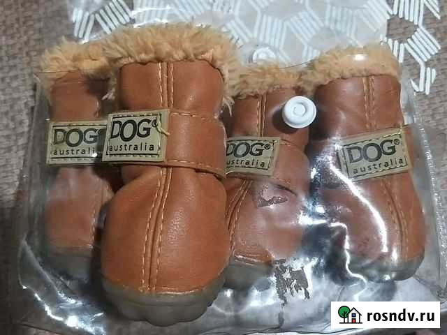 Обувь для маленьких собачек Новоалтайск - изображение 1