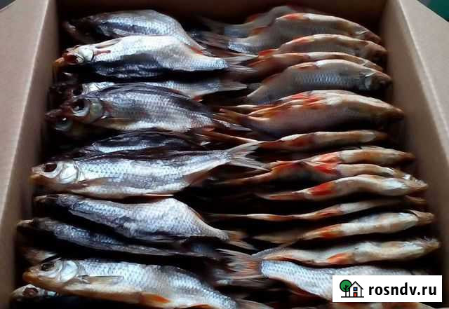 Рыба Йошкар-Ола - изображение 1