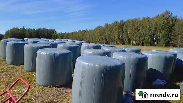 Сенаж в упаковке Радужный - изображение 1
