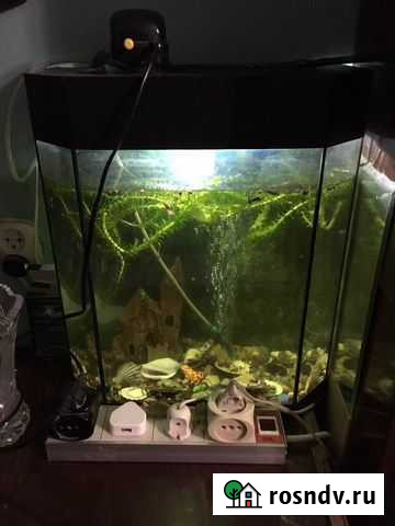 Аквариум Симферополь - изображение 1