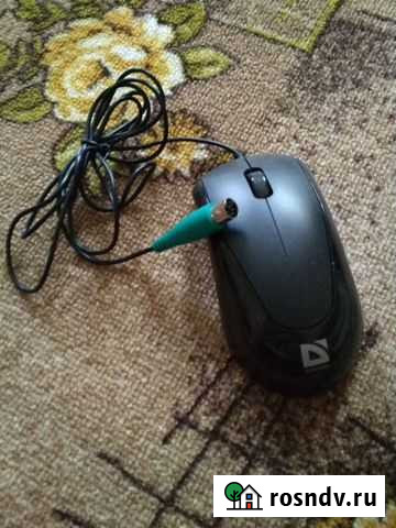 Мышка Глушково - изображение 1